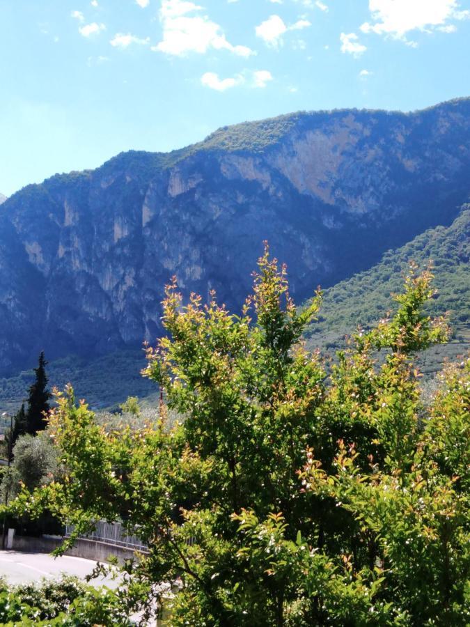 Casa Akira Apartment Riva del Garda Exterior photo